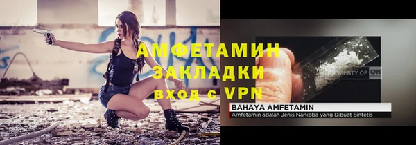 гашик Пестово
