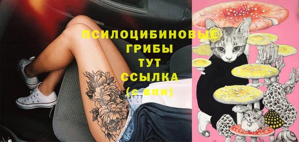 винт Покачи