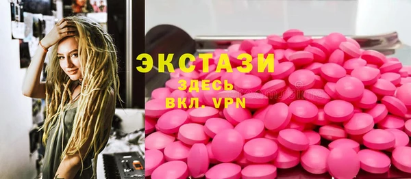 гашик Пестово