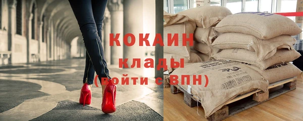 молекула духа Осинники