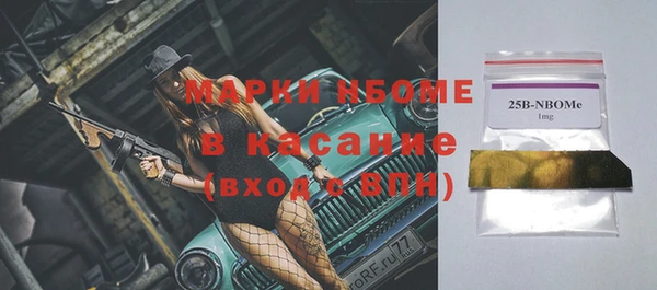 гашик Пестово