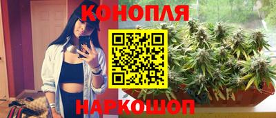 стаф Донецк