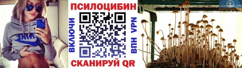 Псилоцибиновые грибы Psilocybine cubensis как найти наркотики OMG маркетплейс Переславль-Залесский