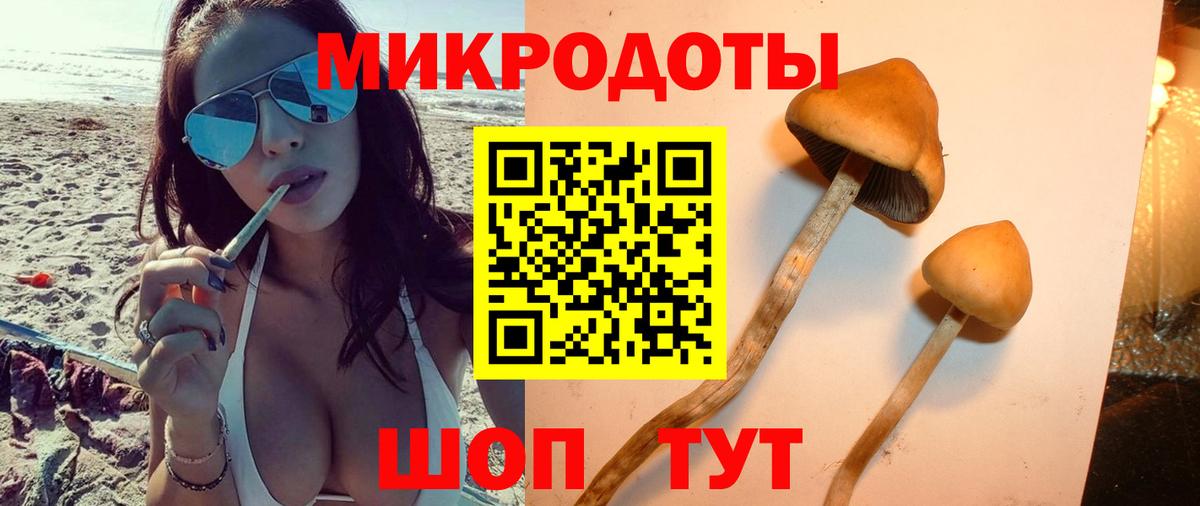 Псилоцибиновые грибы мицелий Переславль-Залесский