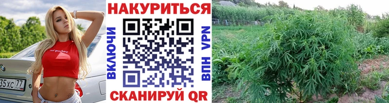 Конопля ГИДРОПОН  hydra вход  Переславль-Залесский 